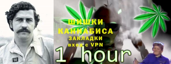 эйфоретик Новозыбков
