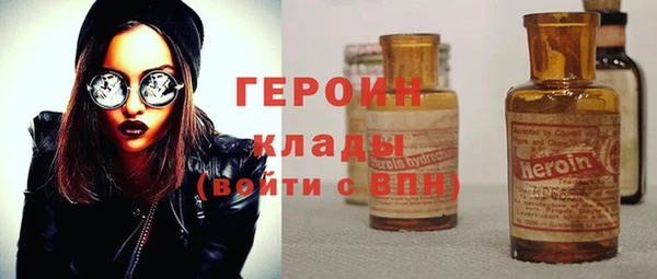 прущие грибы Новодвинск