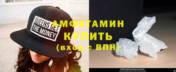 прущие грибы Новодвинск