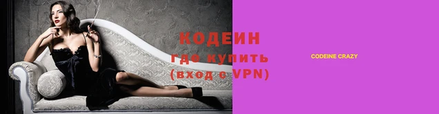 прущие грибы Новодвинск