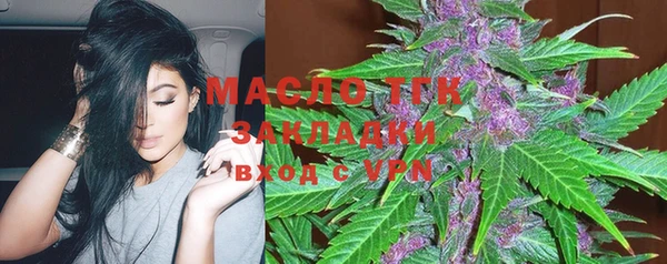прущие грибы Новодвинск