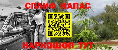 МДПВ Абинск