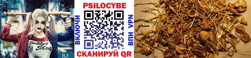 Псилоцибиновые грибы GOLDEN TEACHER  Балабаново 