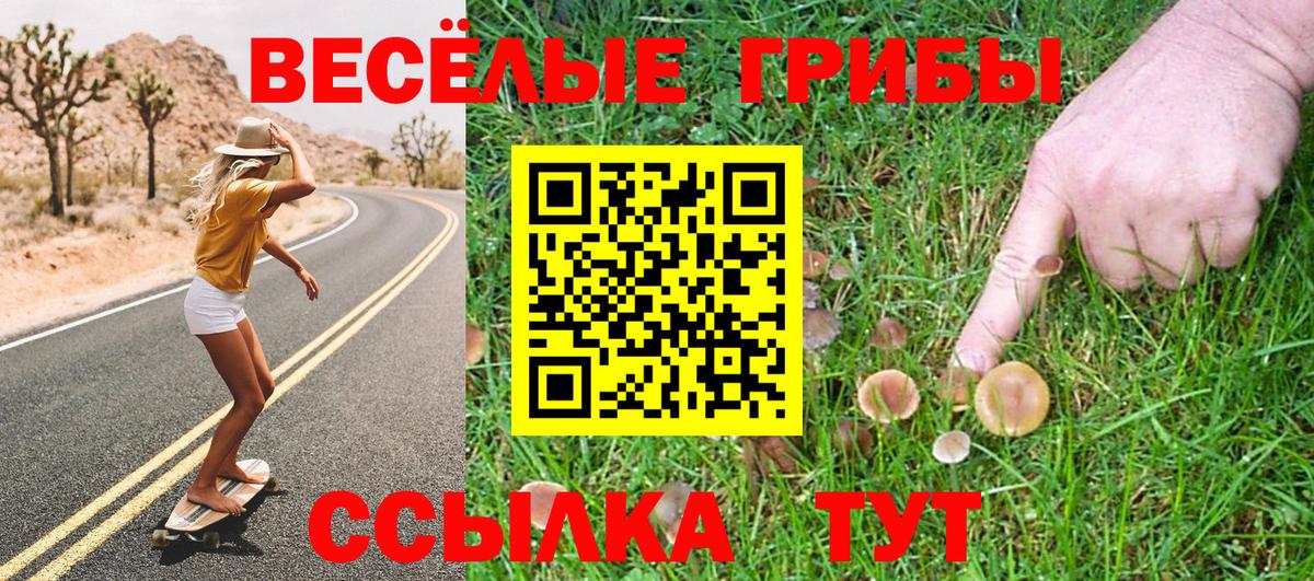 Псилоцибиновые грибы Cubensis Балабаново