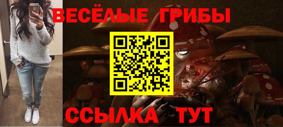 Балабаново  купить   Вход с VPN  Псилоцибиновые грибы прущие грибы 